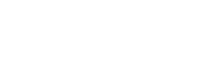 Rope-Live Stellar AI换脸工具 Logo